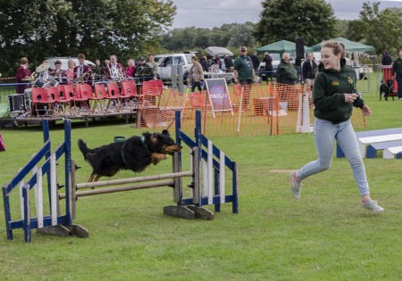 iniciarse en Agility