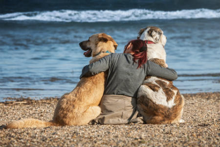 prolongar la vida de tu perro