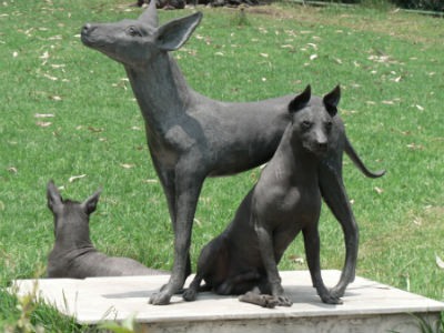 raza Xoloitzcuintle