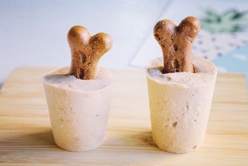 receta helado de verano para perros