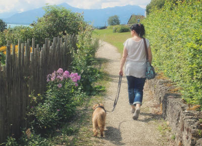 como pasear a tu perro