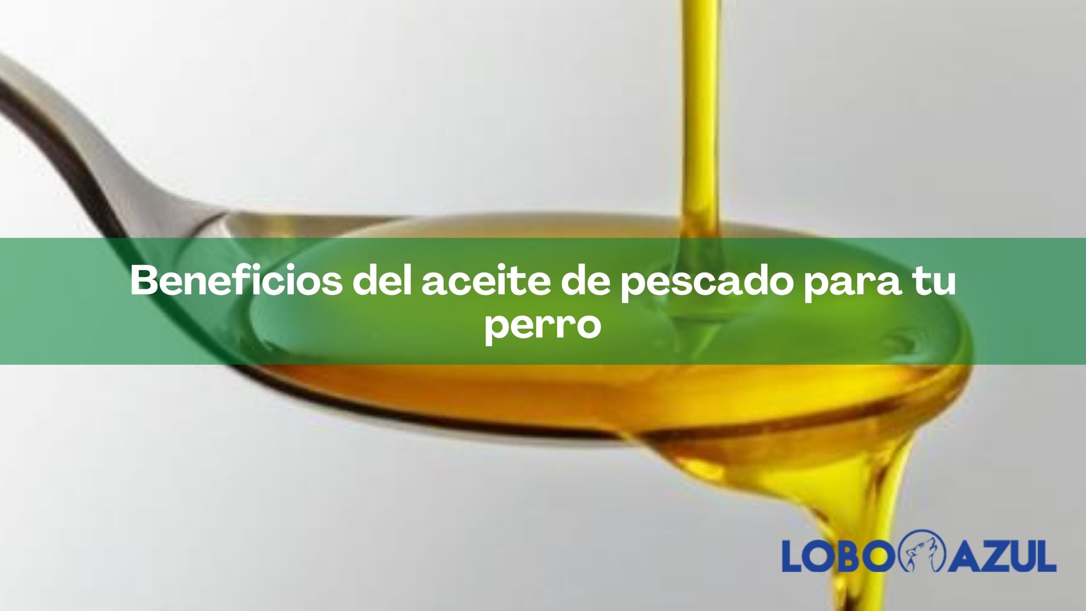 Beneficios del aceite de pescado para tu perro