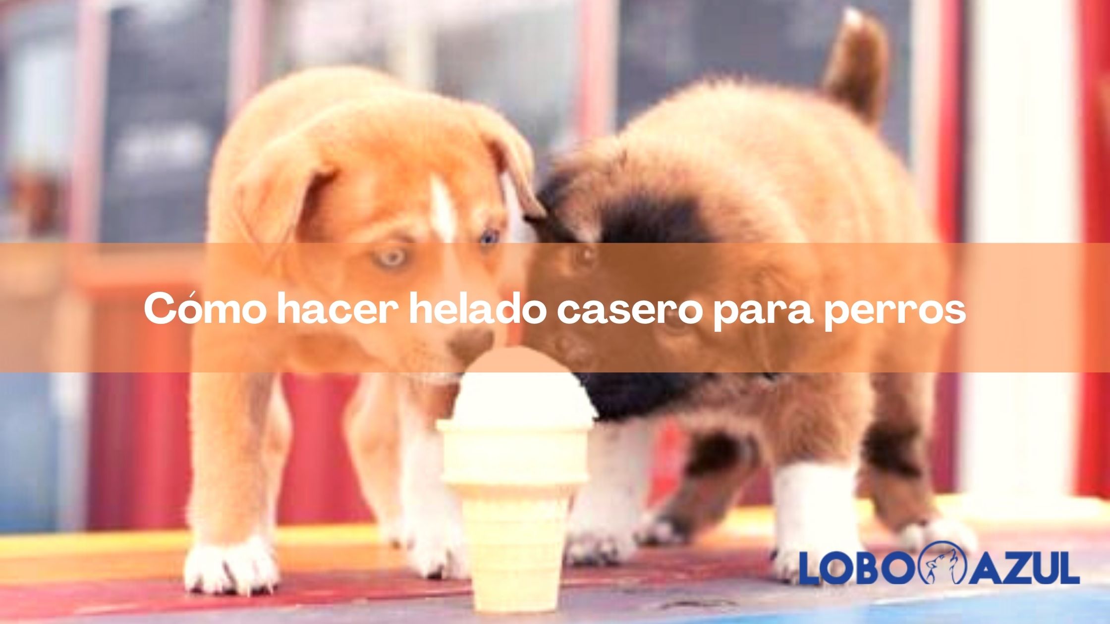 Cómo hacer helado casero para perros