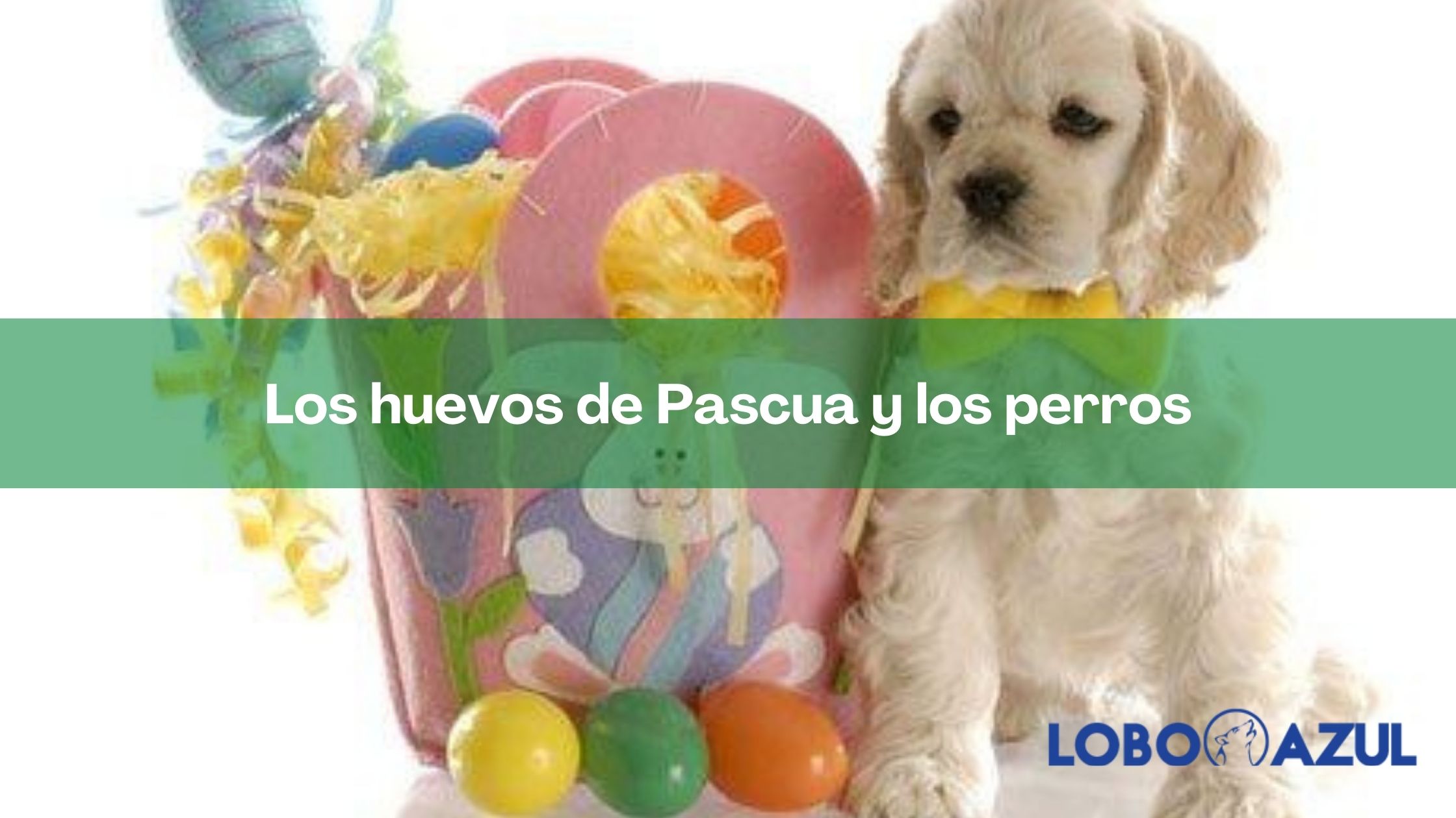 Los huevos de Pascua y los perros