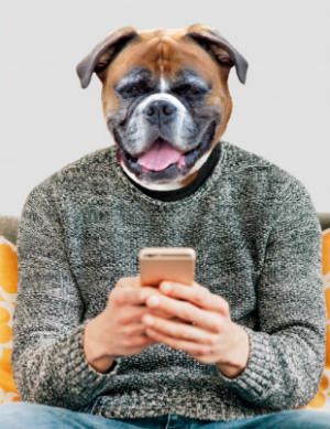 mejores apps para perros