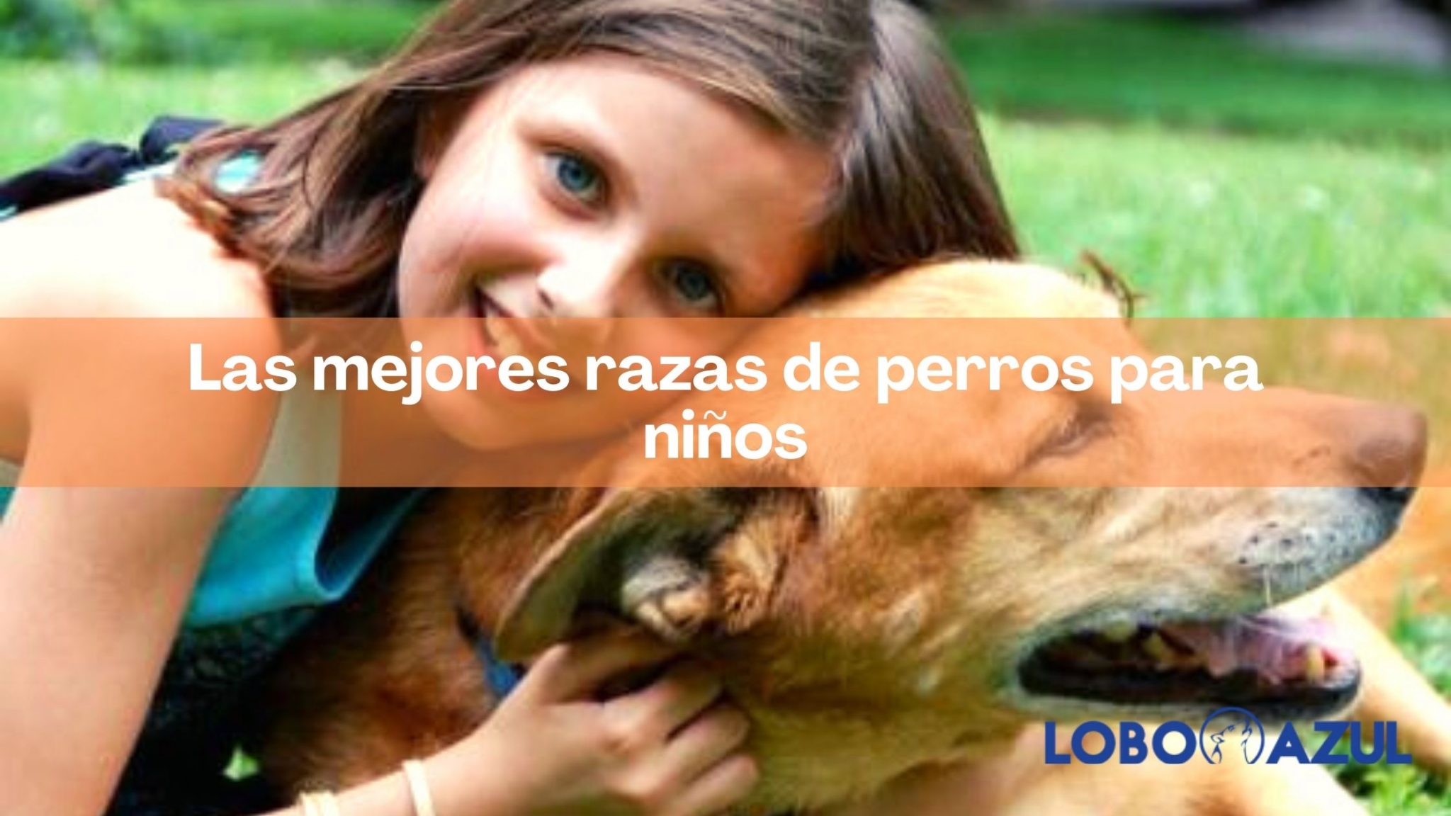 Las mejores razas de perros para niños