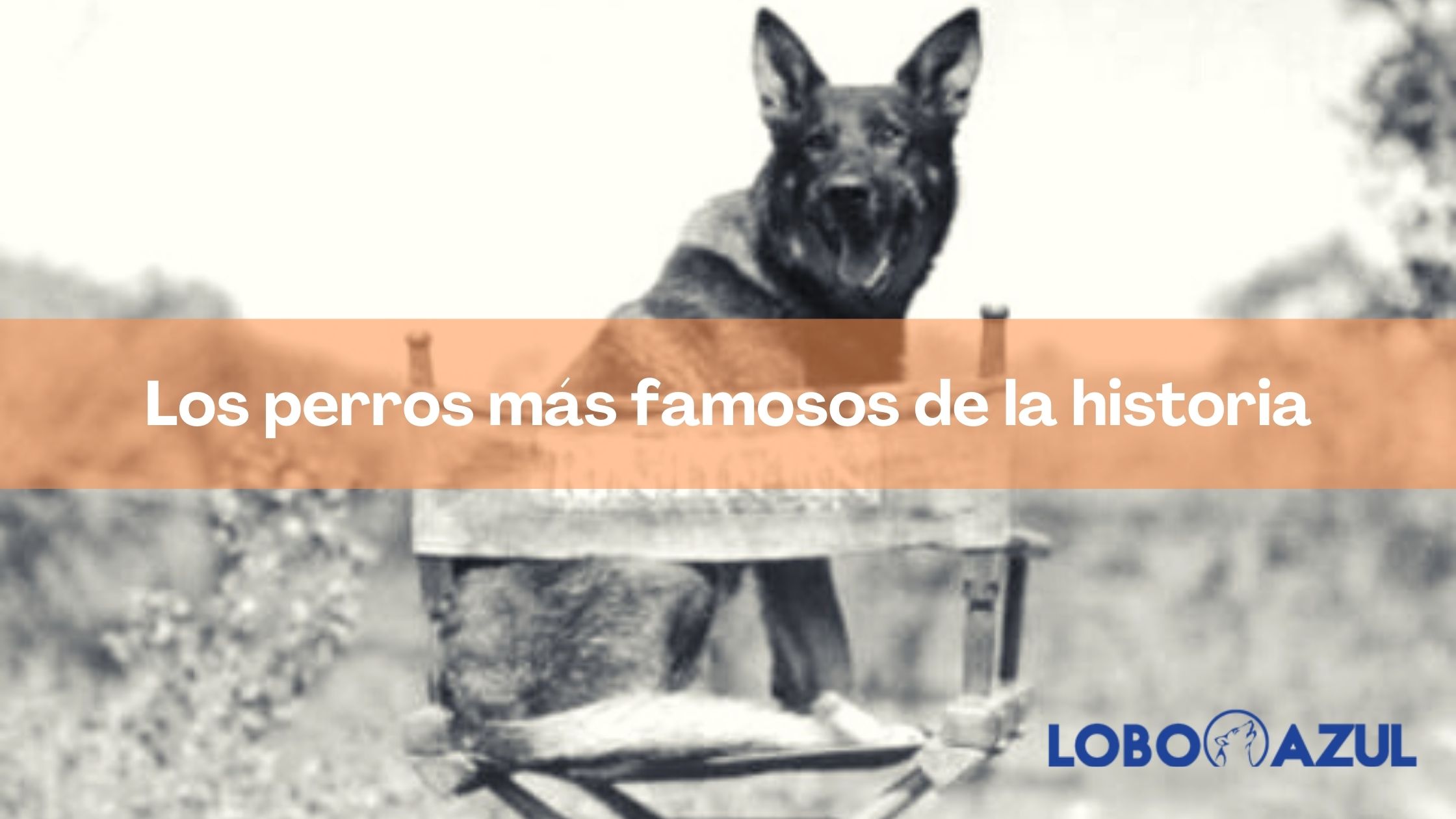 Los perros más famosos de la historia