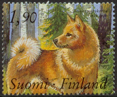 1-suomenpystykorva-1989.jpg