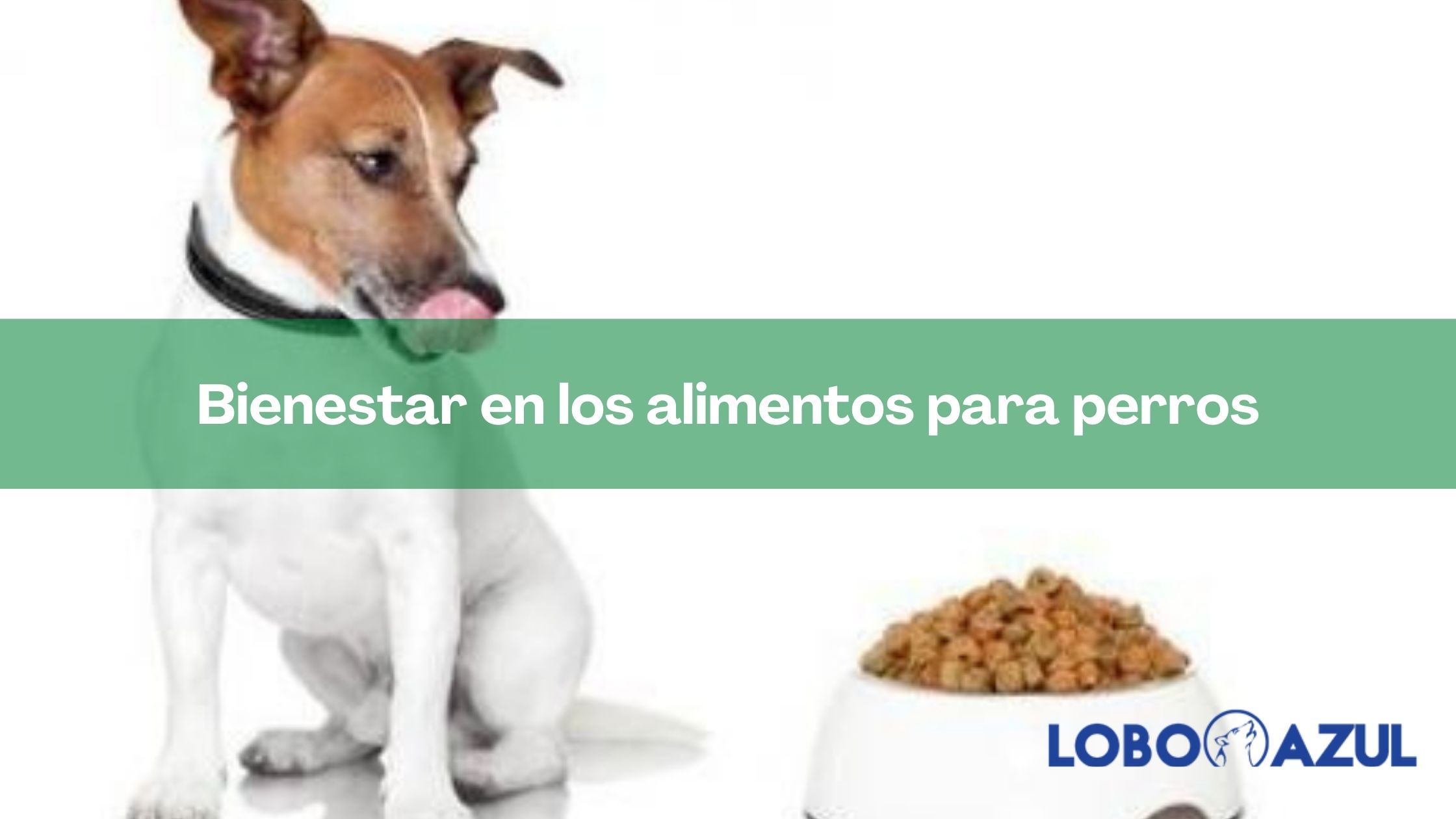 Bienestar en los alimentos para perros