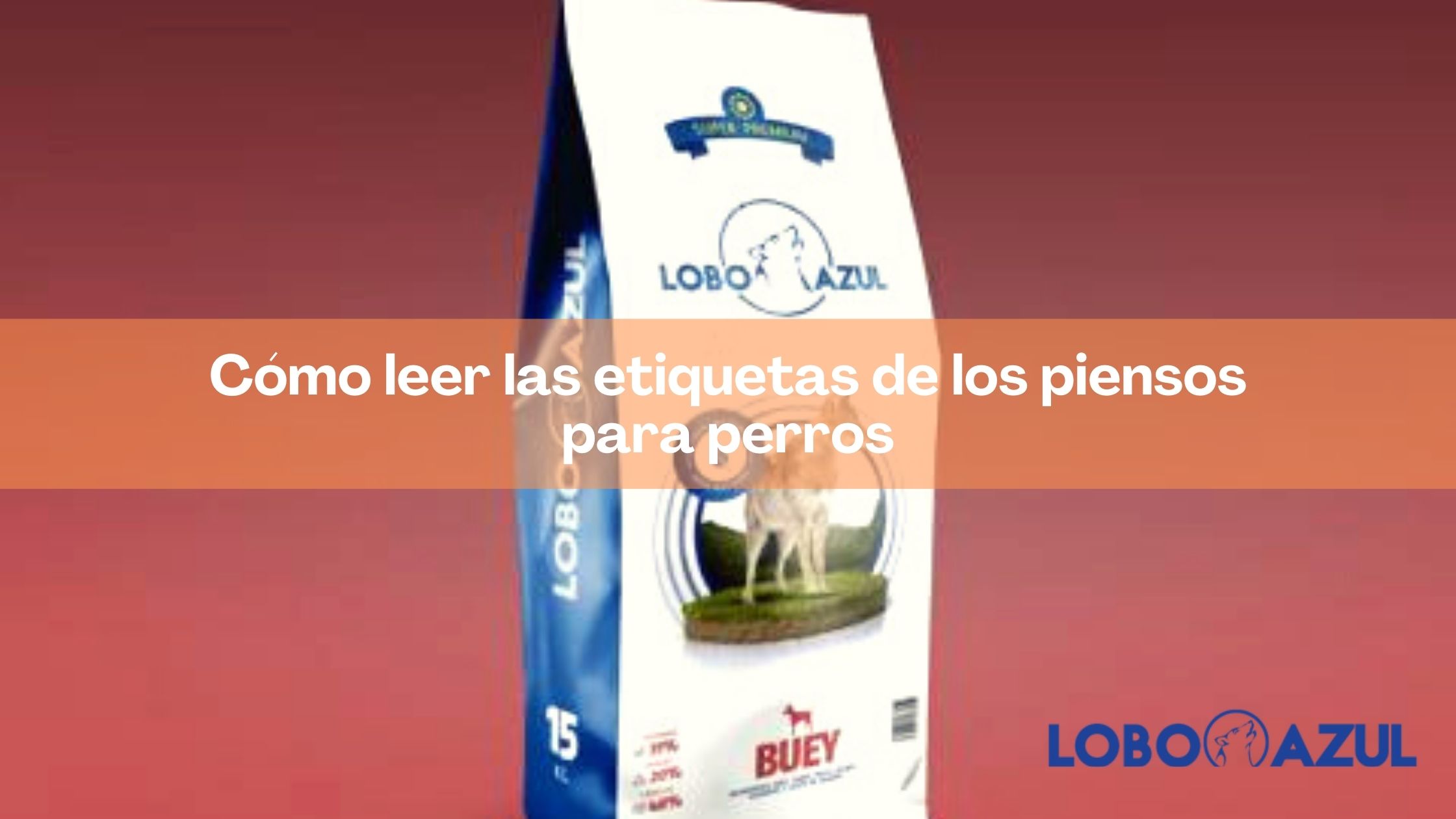 Cómo leer las etiquetas de los piensos para perros