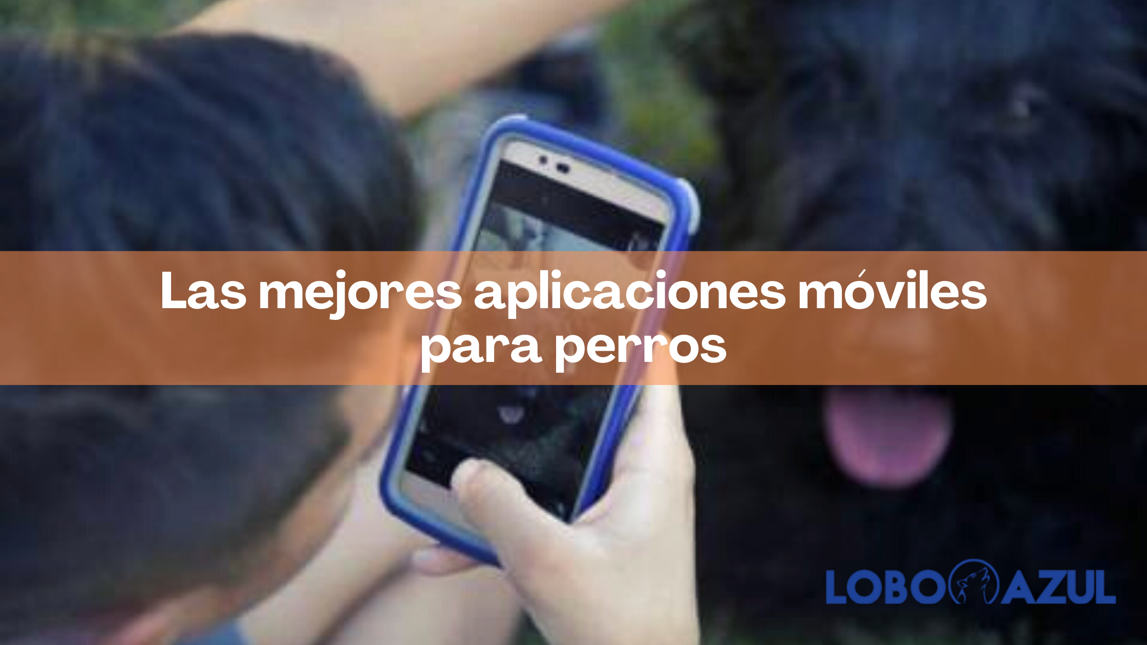 Las mejores aplicaciones móviles para perros