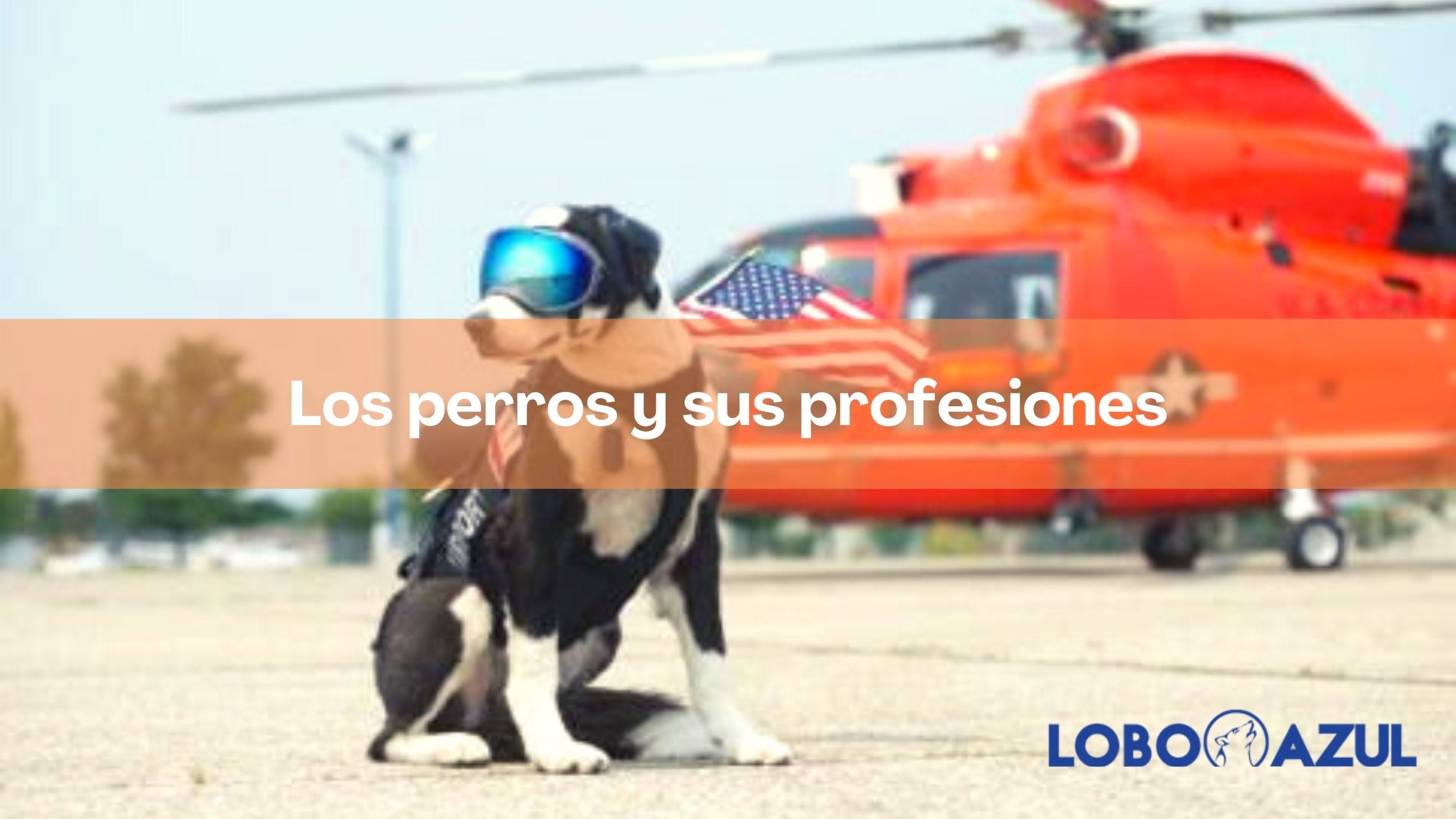 Los perros y sus profesiones