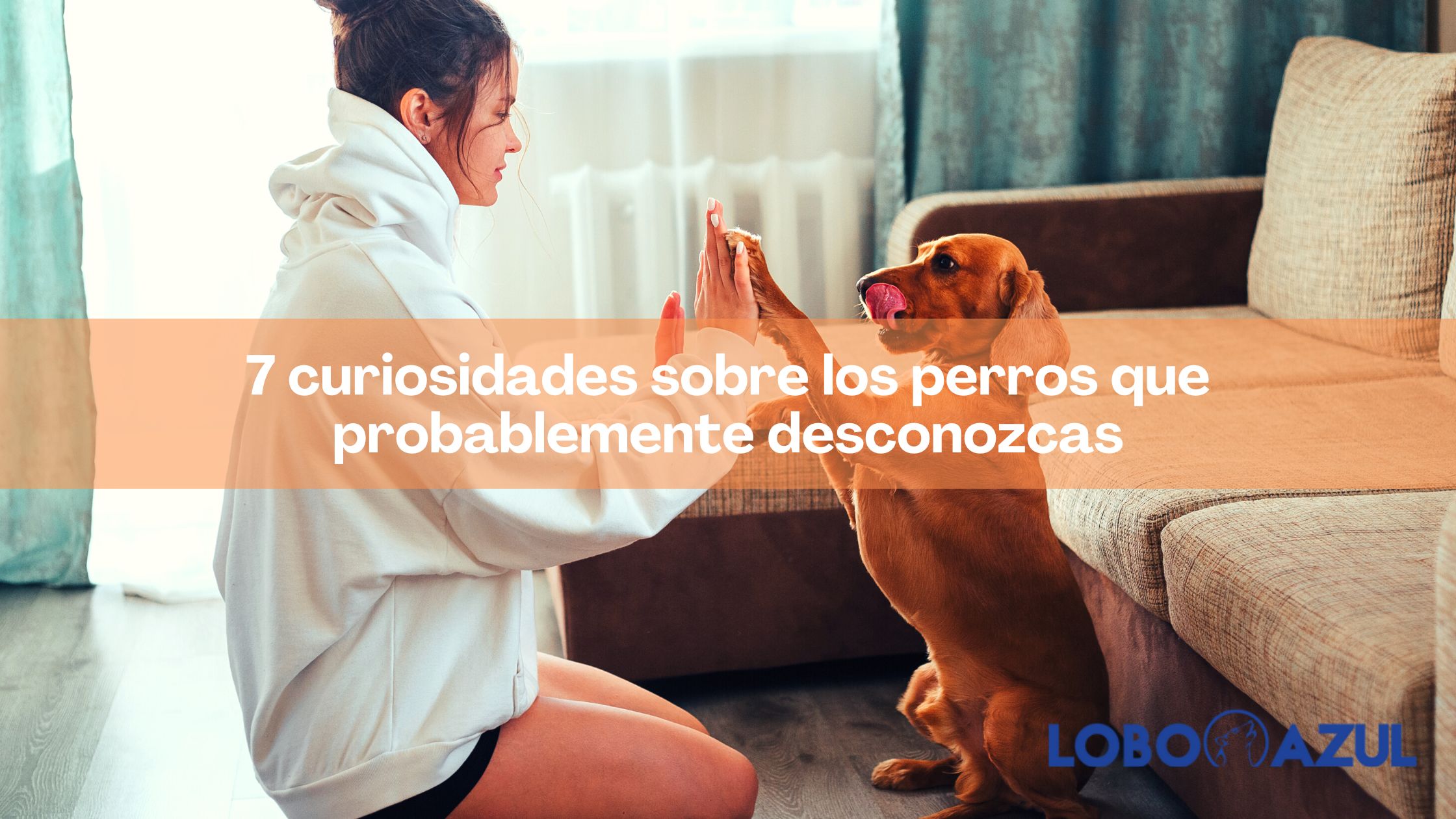 7 curiosidades sobre los perros que probablemente desconozcas